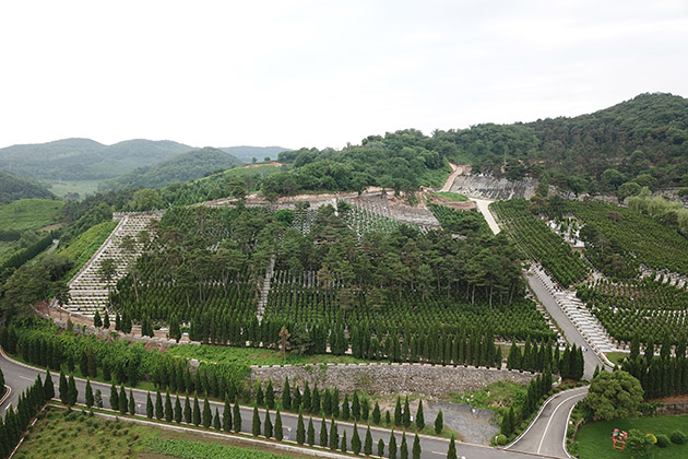 沈阳墓园墓地管理所能否参与民营经营性公墓的铁岭墓园公墓经营活动并获取收益？