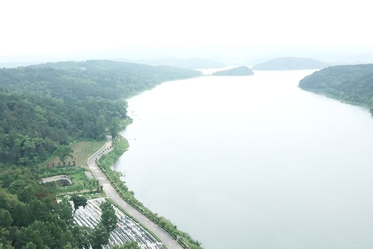 沈阳陵园景观营造绿树成荫，大河贝墓地藏风聚气的自然景色之美！