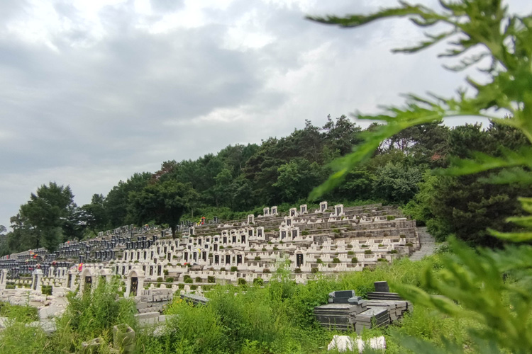 沈阳陵园的陵墓装饰和风格选择？