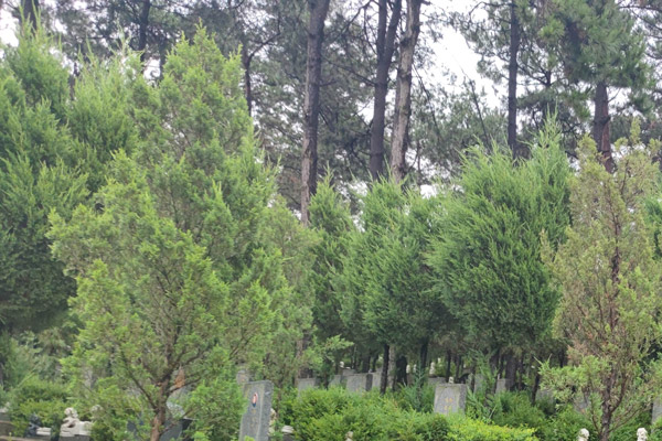 在沈阳墓地购墓前，需要了解哪些主要的购墓须知？
