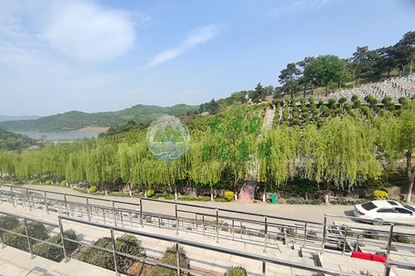 买沈阳陵园包含哪些费用？管理费收费标准是什么？