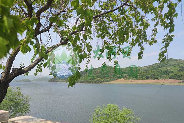 沈阳大河贝墓园，贴心服务，守护家属情感