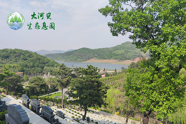 辽宁大河贝生态息园公墓退墓与迁墓的手续及费用说明？