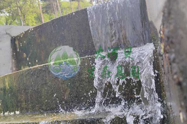 沈阳大河贝墓园全方位服务，价格实惠