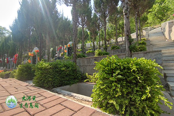 沈阳公墓树葬：作为一种环保、节地的新型葬法！