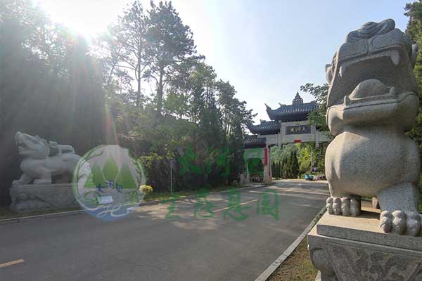 煤都美景尽收眼底，沈阳繁华一望无际，大河贝墓园三面环抱铁岭